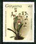 Guyana 1985-89 Orchids Series 1 plate 96 (Sanders Reichenbachia) 40c unmounted mint, SG 1747, stamps on orchids, stamps on flowers