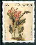 Guyana 1985-89 Orchids Series 1 plate 17 (Sanders Reichenbachia) 55c unmounted mint, SG 1732, stamps on orchids, stamps on flowers