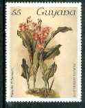 Guyana 1985-89 Orchids Series 1 plate 17 (Sanders Reichenbachia) 55c unmounted mint, SG 1732, stamps on orchids, stamps on flowers