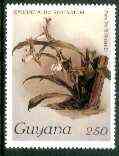 Guyana 1985-89 Orchids Series 2 plate 91 (Sanders Reichenbachia) 250c unmounted mint, value unlisted by SG*, stamps on orchids, stamps on flowers