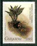 Guyana 1985-89 Orchids Series 2 plate 78 (Sanders' Reichenbachia) 280c unmounted mint, value unlisted by SG*, stamps on orchids, stamps on flowers