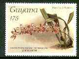 Guyana 1985-89 Orchids Series 2 plate 37 (Sanders' Reichenbachia) 175c unmounted mint, value unlisted by SG*, stamps on , stamps on  stamps on orchids, stamps on  stamps on flowers