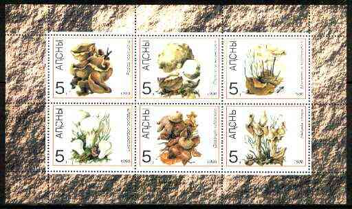 Abkhazia 1998 Mushrooms sheetlet containing complete set of 6 values unmounted mint, stamps on , stamps on  stamps on fungi