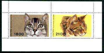 Abkhazia 1996 Cats sheetlet containing complete set of 2 values unmounted mint, stamps on , stamps on  stamps on cats