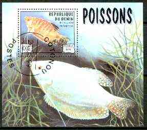 Benin 1999 Fish m/sheet fine cto used, stamps on fish