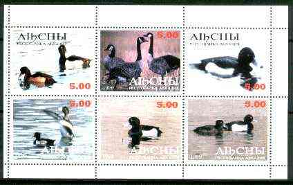 Abkhazia 1999 Ducks perf sheetlet containing set of 6 values unmounted mint, stamps on , stamps on  stamps on birds, stamps on ducks