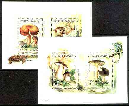 Madagascar 1998 Mushrooms  set of 2 m/sheets each containing 2 values unmounted mint, stamps on fungi:tortoise