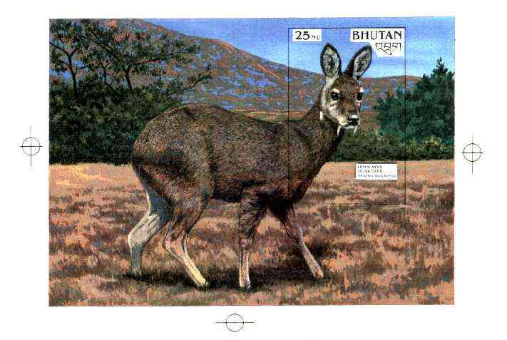 Bhutan 1990 Endangered Wildlife - Intermediate stage computer-generated artwork (as submitted for approval) for 25nu m/sheet (Himalayan Musk Deer) 200 x 140 mm similar to issued design but lettering different, ex Government archives and probably unique, stamps on , stamps on  stamps on animals, stamps on deer