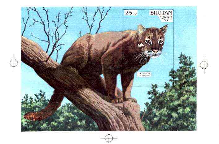 Bhutan 1990 Endangered Wildlife - Intermediate stage computer-generated artwork (as submitted for approval) for 25nu m/sheet (Golden Cat) 200 x 140 mm similar to issued d..., stamps on animals, stamps on cats