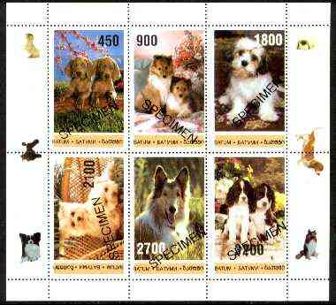 Batum 1996 Dogs perf sheet containing 6 values overprinted SPECIMEN, scarce with very few produced for publicity purposes unmounted mint, stamps on , stamps on  stamps on animals, stamps on dogs, stamps on collie, stamps on poodle, stamps on spaniel, stamps on weimaraner