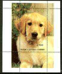 Batum 1996 Golden Retriever perf souvenir sheet unmounted mint, stamps on animals, stamps on dogs, stamps on retriever