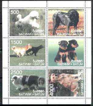 Batum 1999 Dogs sheetlet containing complete set of 6 values unmounted mint, stamps on , stamps on  stamps on dogs, stamps on poodle, stamps on retriever, stamps on labrador, stamps on collie