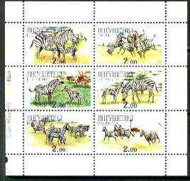 Ingushetia Republic 1999 Zebras perf sheetlet containing complete set of 6 values unmounted mint, stamps on , stamps on  stamps on animals, stamps on zebras, stamps on  stamps on zebra