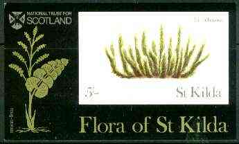 St Kilda 1969 Flowers 5s (Fir Clubmoss) imperf souvenir sheet unmounted mint, stamps on flowers
