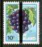 New Zealand 1982-89 Grapes 10c from Fruit def set with vert black line opt for PO training school use unmounted mint, as SG 1283*, stamps on fruit, stamps on grapes, stamps on wine, stamps on alcohol