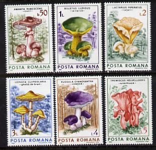 Rumania 1986 Fungi set of 6 unmounted mint, SG 5065-70, Mi 4288-93*, stamps on fungi