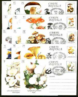 Rumania 1994 Mushrooms complete set of 14 deluxe edition postal stationery cards (30L values) each with 'mushroom' cancellation (Limited edition), stamps on , stamps on  stamps on fungi