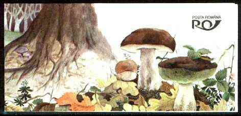 Rumania 1994 Edible and Poisonous Fungi booklet containing two m/sheets, unused and pristine, stamps on , stamps on  stamps on fungi