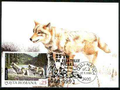 Rumania 1992 Wolf 25L (as SG 5482) on maximum card with special illustrated 'Wolf' cancellation, stamps on animals, stamps on dogs, stamps on wolf