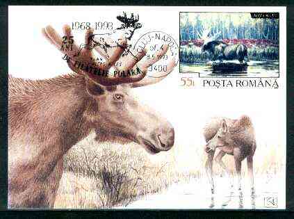 Rumania 1992 Elk 55L (as SG 5484) on maximum card with special illustrated 'Elk' cancellation, stamps on , stamps on  stamps on animals, stamps on deer