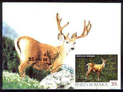 Rumania 1992 White Tailed Deer 30L (as SG 5483) on maximum card with special illustrated 'Deer' cancellation, stamps on , stamps on  stamps on animals, stamps on deer