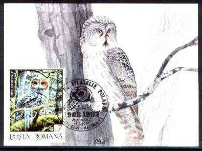 Rumania 1992 Spotted Owl 7L (as SG 5479) on maximum card with special illustrated 'Owl' cancellation, stamps on , stamps on  stamps on birds, stamps on  stamps on birds of prey, stamps on  stamps on owls