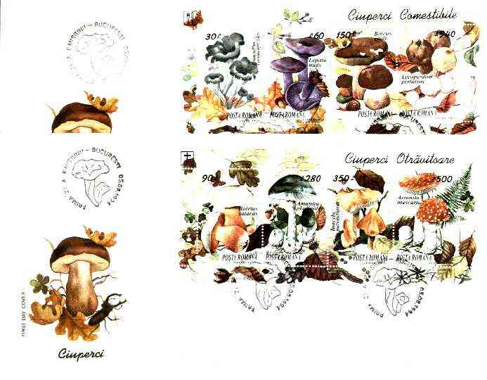 Rumania 1994 Edible and Poisonous Fungi the set of 2 m/sheets, each on illustrated cover with special 'mushroom' first day cancel (as SG MS 5638), stamps on , stamps on  stamps on fungi