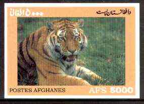 Afghanistan 1999 Tiger imperf m/sheet unmounted mint, stamps on , stamps on  stamps on animals, stamps on cats, stamps on tigers