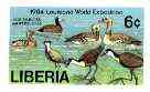 Liberia 1984 Ducks & Water Birds 6c (from World Exposition set) imperf from limited printing, unmounted mint SG 1587, stamps on birds