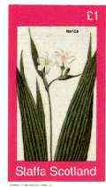 Staffa 1982 Flowers #33 (Marica) imperf souvenir sheet (£1 value) unmounted mint, stamps on flowers    