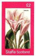 Staffa 1982 Flowers #33 (Pink Amaryllis) imperf deluxe sheet (Â£2 value) unmounted mint, stamps on flowers