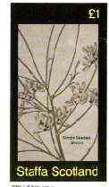 Staffa 1982 Flowers #34 (Single Seeded Broom) imperf souvenir sheet (£1 value) unmounted mint, stamps on flowers    