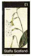 Staffa 1982 Flowers #35 (Tobacco) imperf souvenir sheet (£1 value) unmounted mint, stamps on flowers, stamps on tobacco