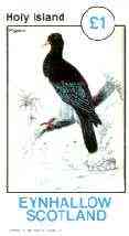 Eynhallow 1982 Birds #25 (Pigeon) imperf souvenir sheet (£1 value) unmounted mint, stamps on birds, stamps on pigeon