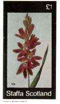 Staffa 1982 Flowers #37 (Ixia) imperf souvenir sheet (£1 value) unmounted mint, stamps on flowers