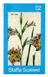 Staffa 1982 Flowers #38 (Corn Flag) imperf deluxe sheet (£2 value) unmounted mint, stamps on flowers, stamps on iris