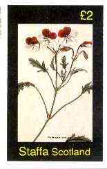 Staffa 1982 Flowers #39 (Pelargonium) imperf deluxe sheet (Â£2 value) unmounted mint, stamps on flowers
