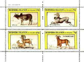 Bernera 1982 Domesticated Animals (Ox, Sheep, Ghau & Argali) perf sheet containing set of 4 values unmounted mint, stamps on , stamps on  stamps on animals, stamps on ovine, stamps on bovine, stamps on sheep, stamps on argali, stamps on ox