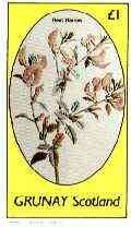 Grunay 1982 Flowers #15 (Rest Harrow) imperf souvenir sheet (£1 value) unmounted mint, stamps on flowers