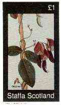 Staffa 1982 Flowers #41 (Glycine) imperf souvenir sheet (£1 value) unmounted mint, stamps on flowers