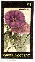 Staffa 1982 Flowers #42 (Ipomea) imperf souvenir sheet (£1 value) unmounted mint, stamps on flowers