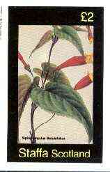 Staffa 1982 Flowers #42 (Siphocempylus) imperf deluxe sheet (£2 value) unmounted mint, stamps on flowers