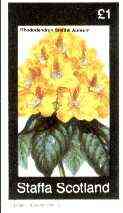 Staffa 1982 Flowers #43 (Rhododendron) imperf souvenir sheet (£1 value) unmounted mint, stamps on flowers
