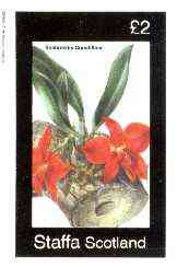 Staffa 1982 Flowers #43 (Sophronitis) imperf deluxe sheet (£2 value) unmounted mint, stamps on flowers