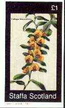 Staffa 1982 Flowers #44 (Lalage Hoveafolia) imperf souvenir sheet (£1 value) unmounted mint, stamps on flowers