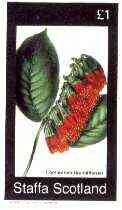 Staffa 1982 Flowers #45 (Combretum) imperf souvenir sheet (£1 value) unmounted mint, stamps on flowers