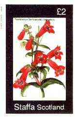 Staffa 1982 Flowers #45 (Pentstemon) imperf deluxe sheet (£2 value) unmounted mint, stamps on flowers