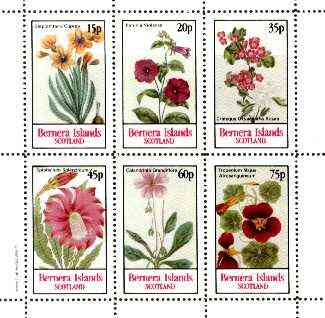 Bernera 1982 Flowers #20 (Petunia, Steptanthera, Crategus etc) perf  set of 6 values unmounted mint, stamps on , stamps on  stamps on flowers