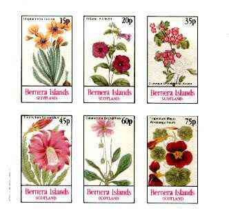 Bernera 1982 Flowers #20 (Petunia, Steptanthera, Crategus etc) imperf  set of 6 values unmounted mint , stamps on flowers