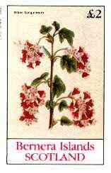 Bernera 1982 Flowers #20 (Ribes Sanguineum) imperf deluxe sheet (£2 value) unmounted mint, stamps on flowers